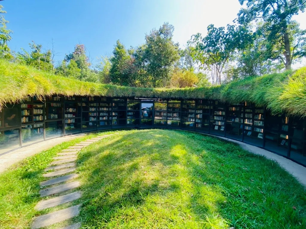 KURKKU FIELDS（クルックフィールズ）の地中図書館。草屋根の下にガラス張りの円形書架が並ぶ