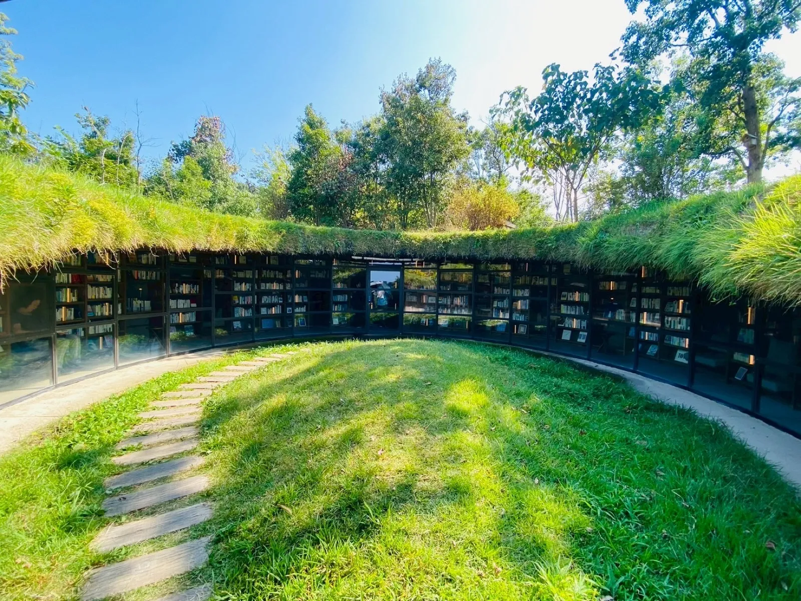 KURKKU FIELDS（クルックフィールズ）の地中図書館。草屋根の下にガラス張りの円形書架が並ぶ
