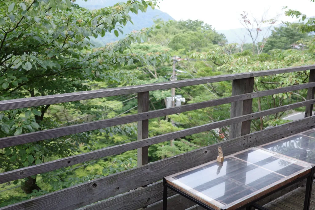 NARAYA CAFEのテラス席から望む箱根・宮ノ下の緑