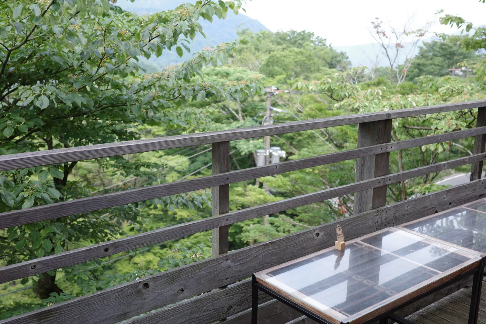 NARAYA CAFEのテラス席から望む箱根・宮ノ下の緑