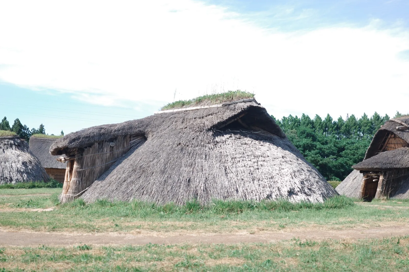 三内丸山遺跡で茅葺きで復元された縄文時代の竪穴建物