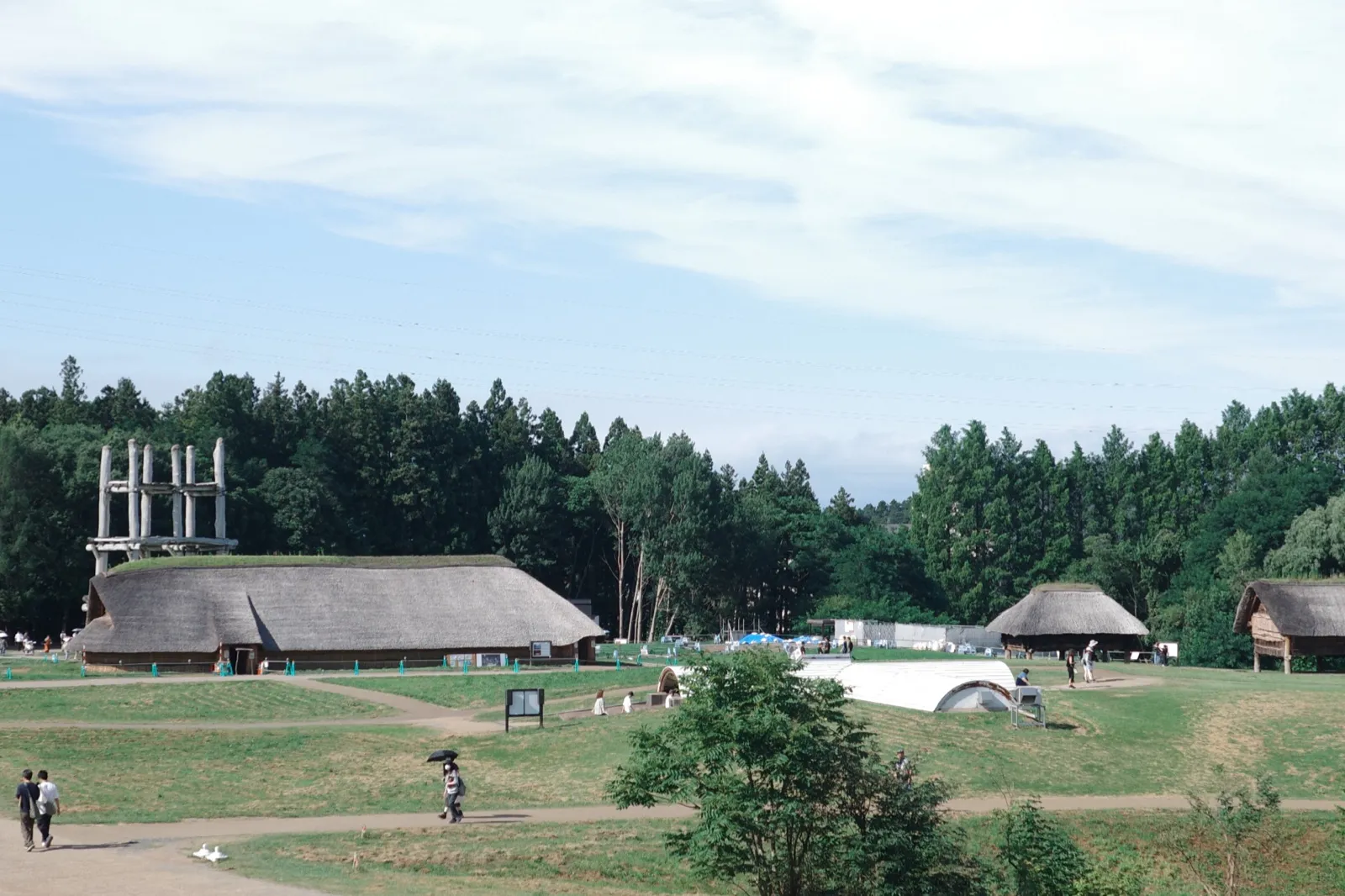 三内丸山遺跡の全景。大型竪穴建物と大型掘立柱建物が見える