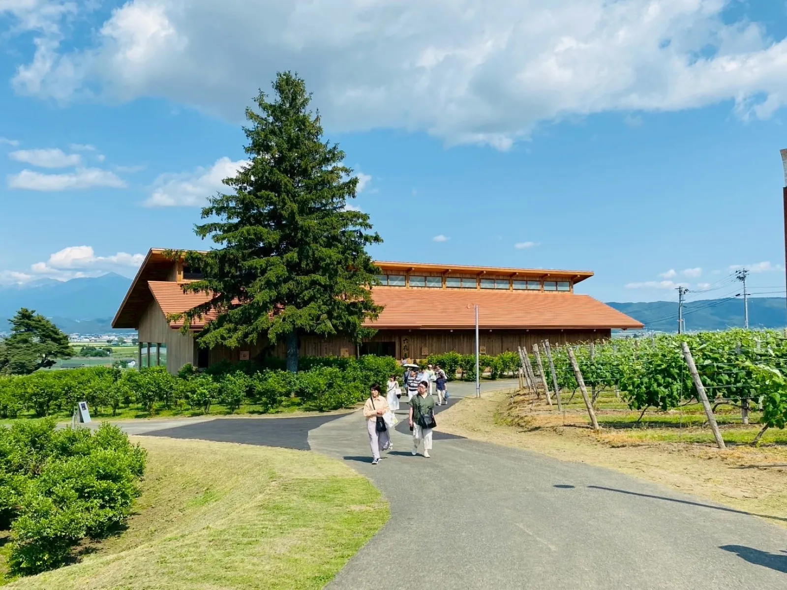 ぶどう畑の奥に建つ六花亭の店舗